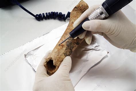 forensic carbon dating